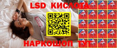 шишки Лесосибирск