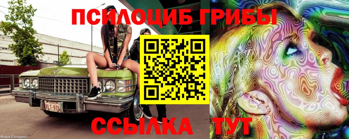 Псилоцибиновые грибы мицелий Южно-Сахалинск